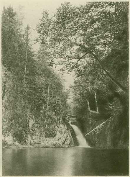 [Image: trout stream