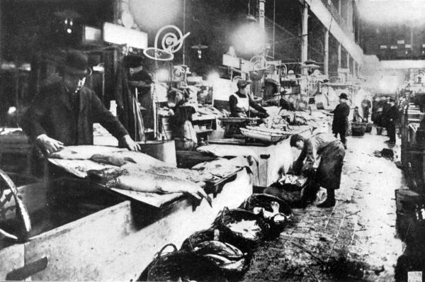 INTERIOR OF THE BERLIN CENTRAL MARKET

The Fish Section of the Great Municipal Market of the German Capital.