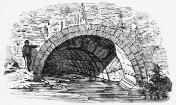 Fig. 266.—Cloaca Maxima.